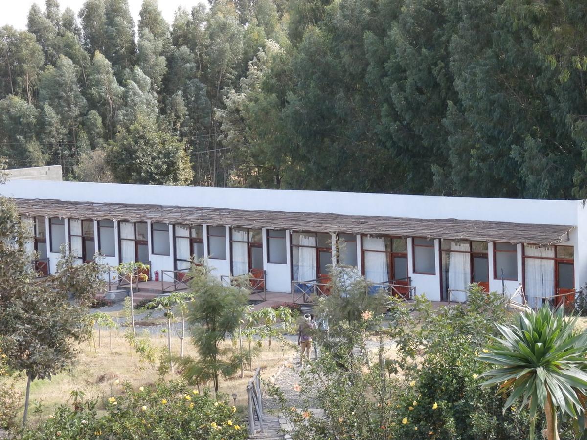 Mayleko Lodge Гондэр Экстерьер фото