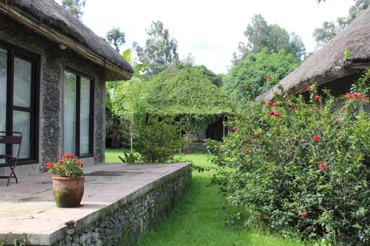 Mayleko Lodge Гондэр Экстерьер фото