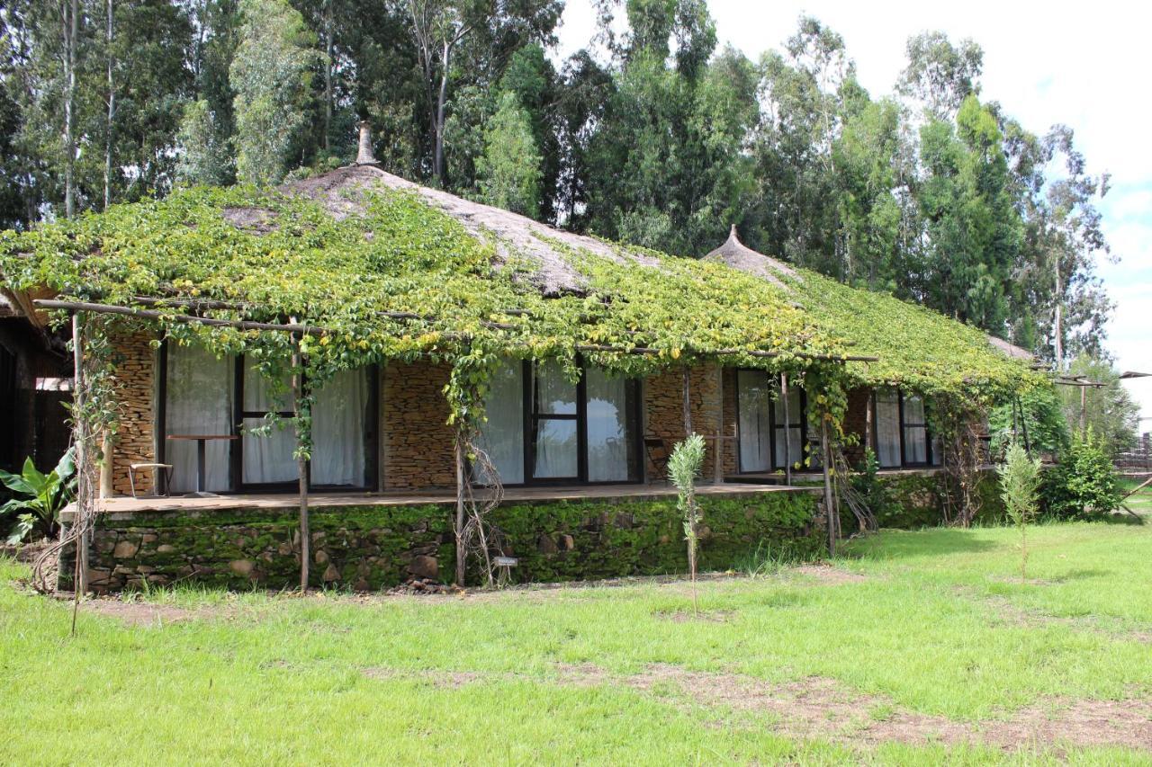 Mayleko Lodge Гондэр Экстерьер фото